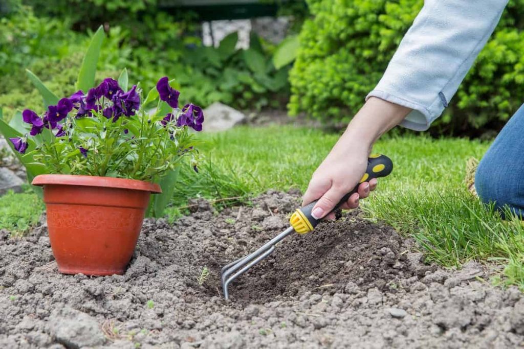 Garden tools
